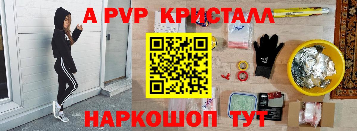 A PVP СК КРИС Пугачёв