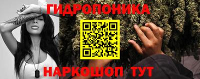 марки lsd Новозыбков