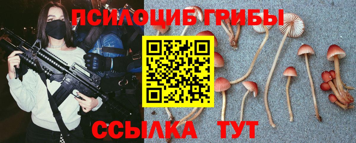 Пугачёв  Галлюциногенные грибы прущие грибы  Галлюциногенные грибы Cubensis  Вход с VPN 